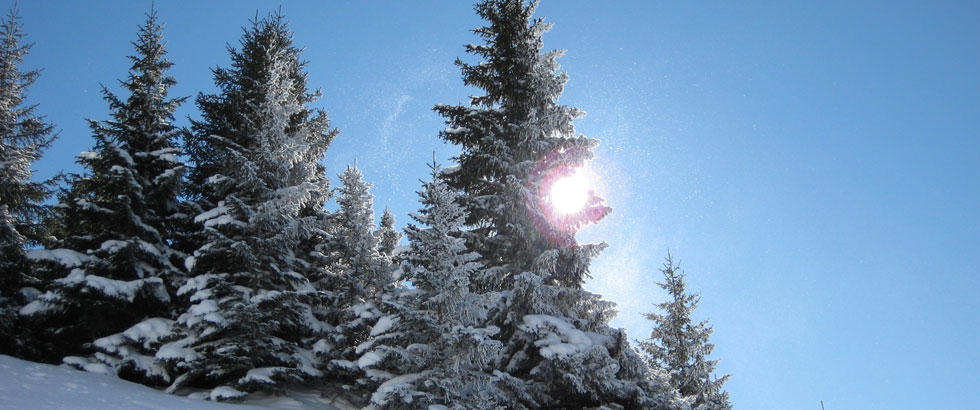 Snowboard Sägerei Sedrun